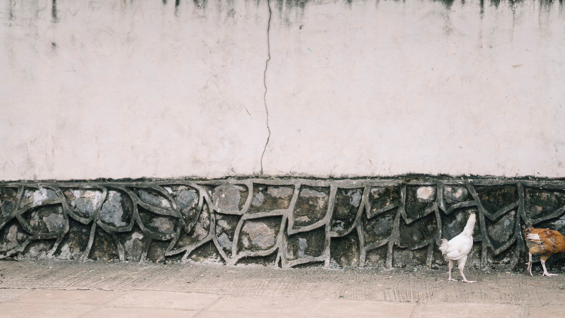 Onboarding as an SI Volunteer